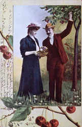 Par plukker kirsebær, ca. 1908
